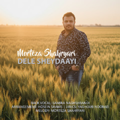 Dele Sheydaayi - Morteza Shahryari