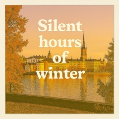 Silent hours of winter