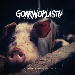 Gorrinoplastia - Gorrinolaringologia