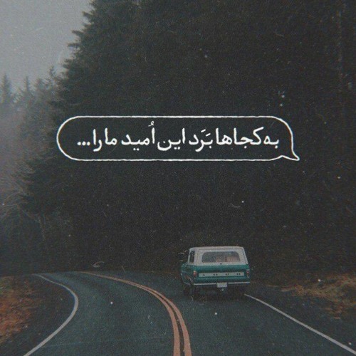 Reza-Yazdani-Zakhmi