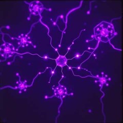 Psilocybin trails through cortical haze V1