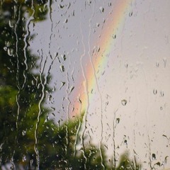 rainbow in the rain