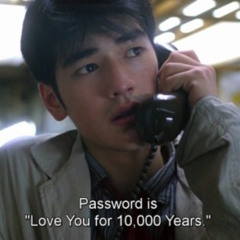 haveyoueverloved