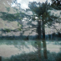 thanks, but I have to leave