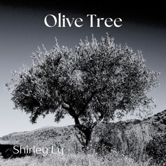 Olive Tree by Shirley Ly | String Quartet with Lead Viola played by John Hird