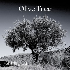 Olive Tree by Shirley Ly for innocent lives lost | String Quartet