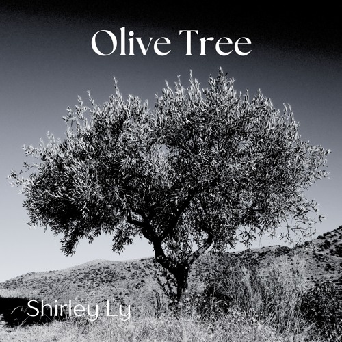 Olive Tree by Shirley Ly for innocent lives lost | String Quartet