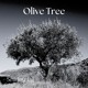 on Olive Tree by Shirley Ly for innocent lives lost | String Quartet
