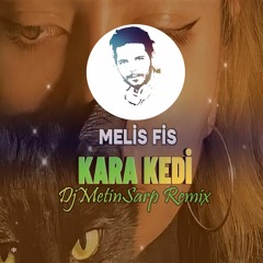 Melis Fis & DjMetinSarp - KaraKedi (SlapHouse)