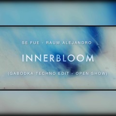 Rauw Alejandro Vs Rufus Du Sol - Se Fue X Innerbloom 'Techno Edit' (Gabodka Open Show)