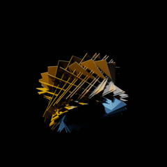 40 the Best Melodic Tracks of the Year 2025