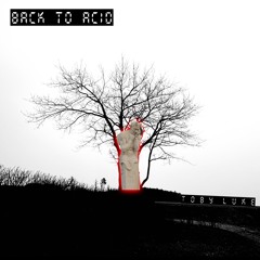 Back To Acid (Original Mix)