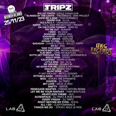 NICE WINTER WONDERLAND - DJ TRIPZ LIVE RECORDING