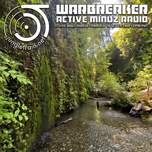 Active Mindz Radio July 26th 2024 with Warbreaker on jungletrain.net