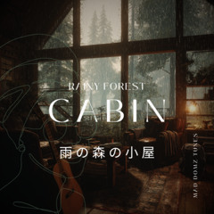 rainy forest cabin