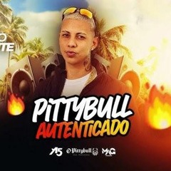 O PITTYBULL - VERÃO QUENTE 2024 -