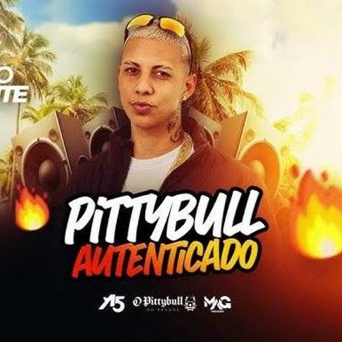 O PITTYBULL - VERÃO QUENTE 2024 -
