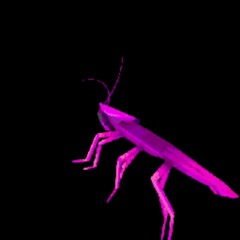 Rainbow cockroach dances to Daft Punk Around the World