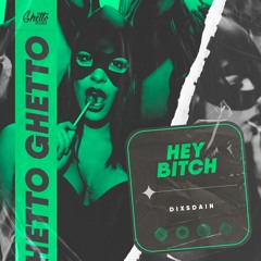 DIXSDAIN - Hey Bitch