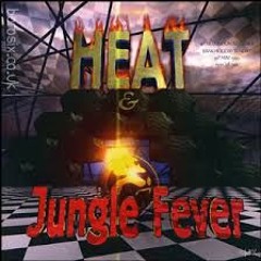 HEAT VS JUNGLE FEVER DNB SET 2 (DJ Brockie, Det, Skibbadee & Shabba D)