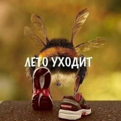 всегда в теме