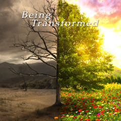 Book 3 Being Transfromed Lesson 1