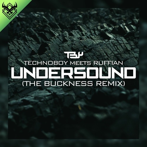 Technoboy Ft. Ruffian - The Undersound (The Buckness Remix)