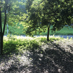 かわいいハート