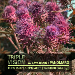 'Triple Vision' 15.07.25 w Lava Brain + Panomaro [area3000.radio]