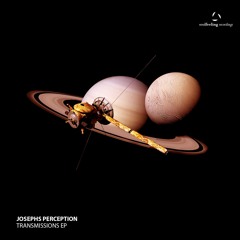 Josephs Perception - Contemplate
