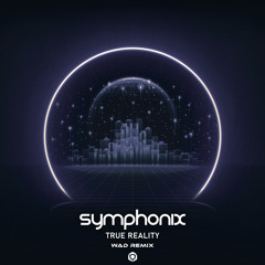 True Reality (W.A.D Remix)
