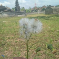 Tri Puspa -Spanduk Hari Raya (Official Video Klip Musik).mp3