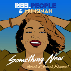 Something New (Kraak & Smaak Remix Edit)