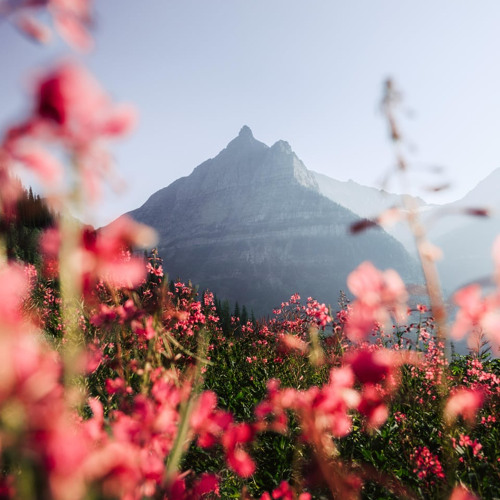 Feeling Free in the Floral Frequencies (Earth Day Mix)