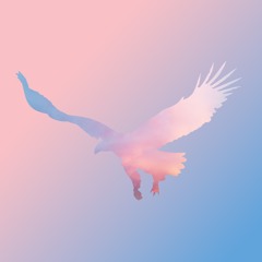 Momentum