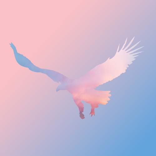 Momentum
