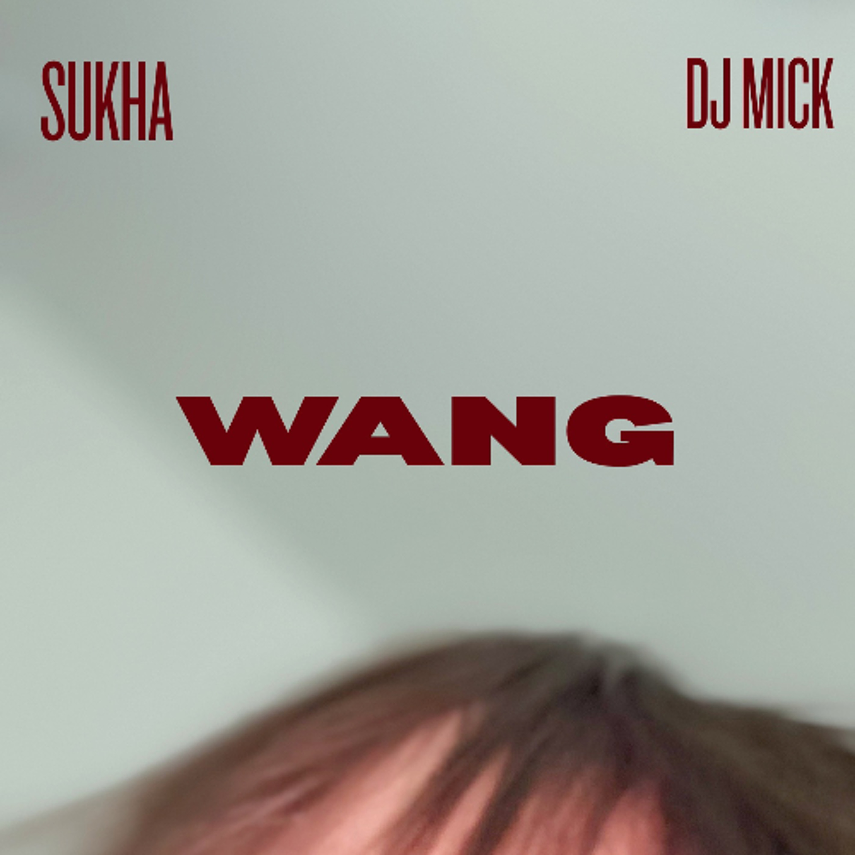 Dj Mick Ft Sukha - Wang Remix episode artwork