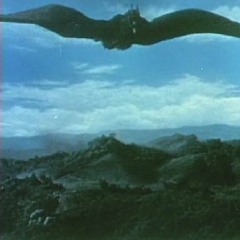 Rodan