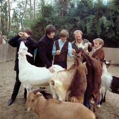 Pet Sounds Fan Fiction