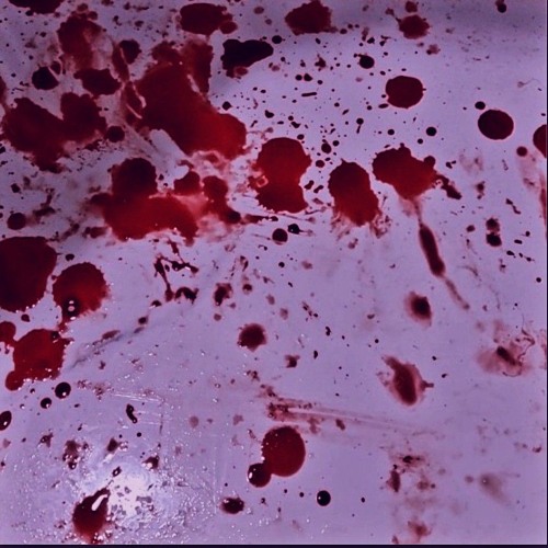 W҈e҈l҈c҈o҈m҈e҈ t҈o҈ t҈h҈e҈ d҈e҈p҈t҈h҈s҈ o҈f҈ m҈y҈ h҈e҈a҈r҈t҈