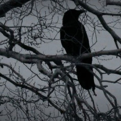 пару косяков