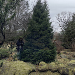 BROOKLYN SPRING WEECOWSxMACGICALxBIGBROxMT3xSHITNEY