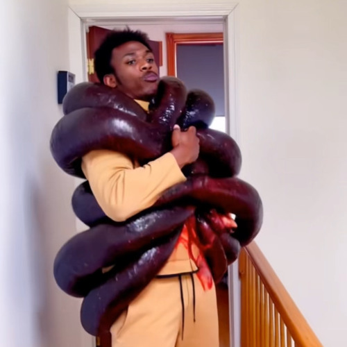python (djae1k)