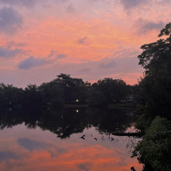 EMOTIONS (feat. Zaycottii)