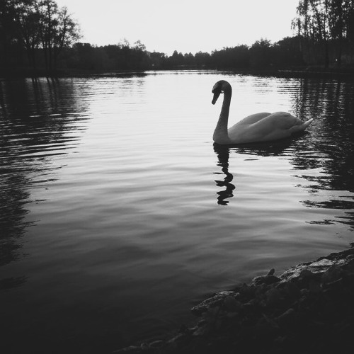 Exit Song(demo)