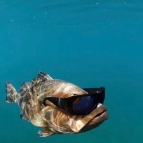 Stream (Old) SHE LOVES ME NOT (Cover) by Tenna Listen online for free