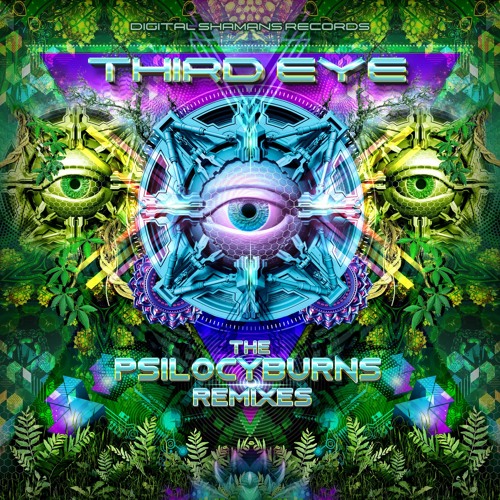 2. Aday Vs Shadow Shaman - Two Fixed  [Psilocyburns Remix]