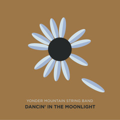 Dancing in the Moonlight