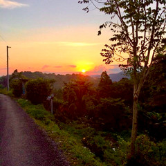 PEACE OF MIND - HOUR 1