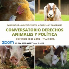 Conversatorio Derechos Animales y Política con Candidatos Elecciones de Mayo